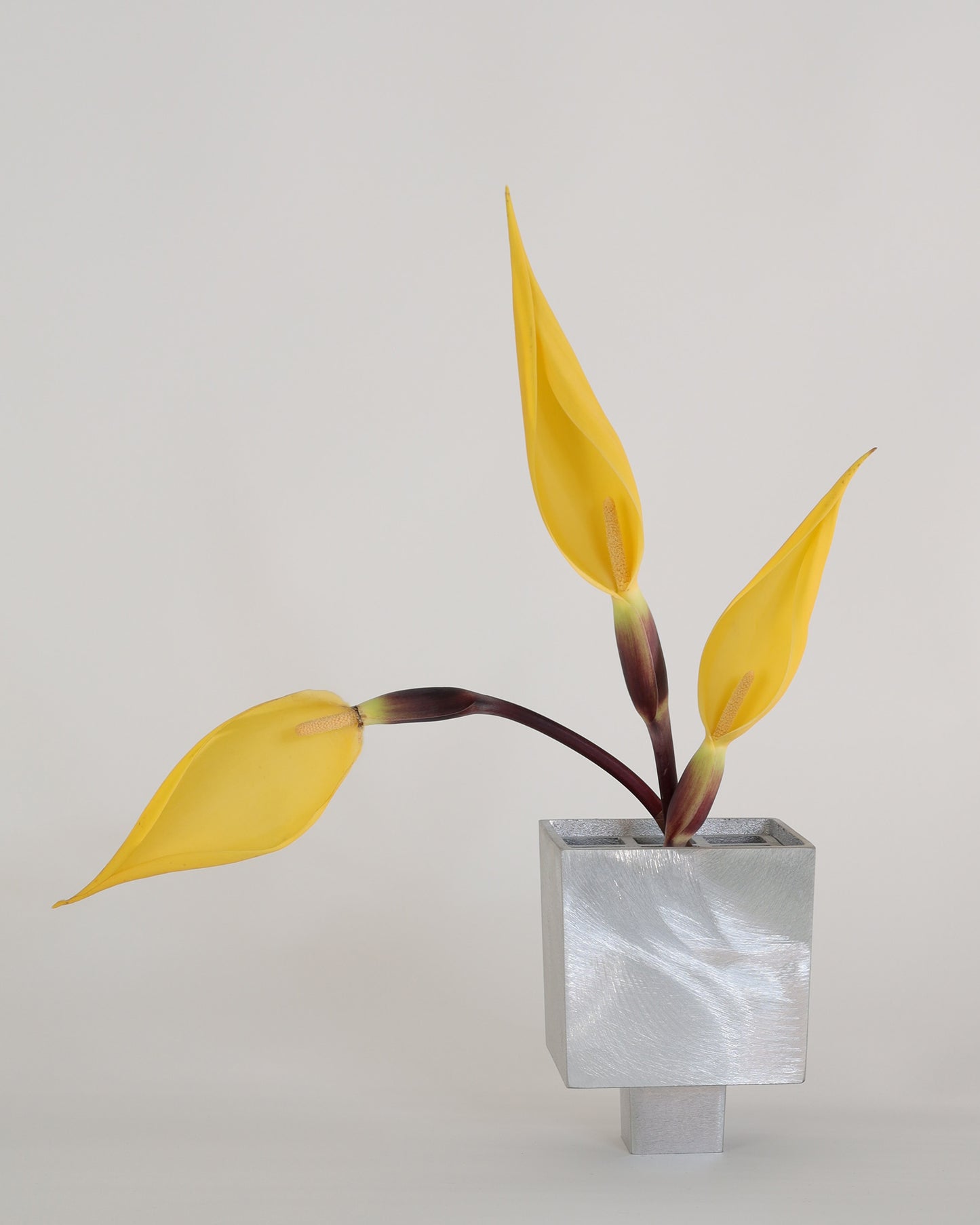 IXIA Vase - Small