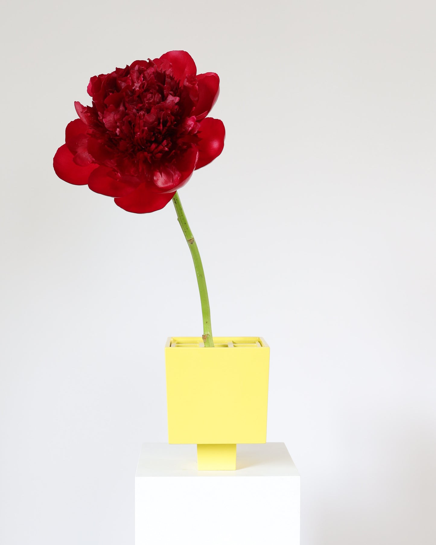 IXIA Vase - Small yellow