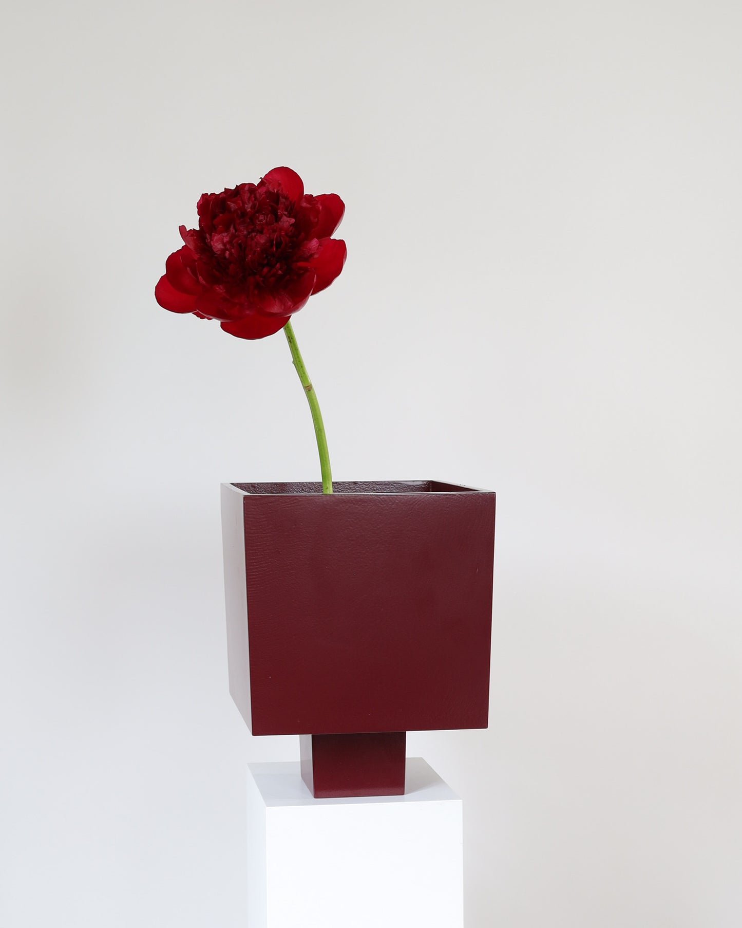 IXIA Vase - Large burgundy