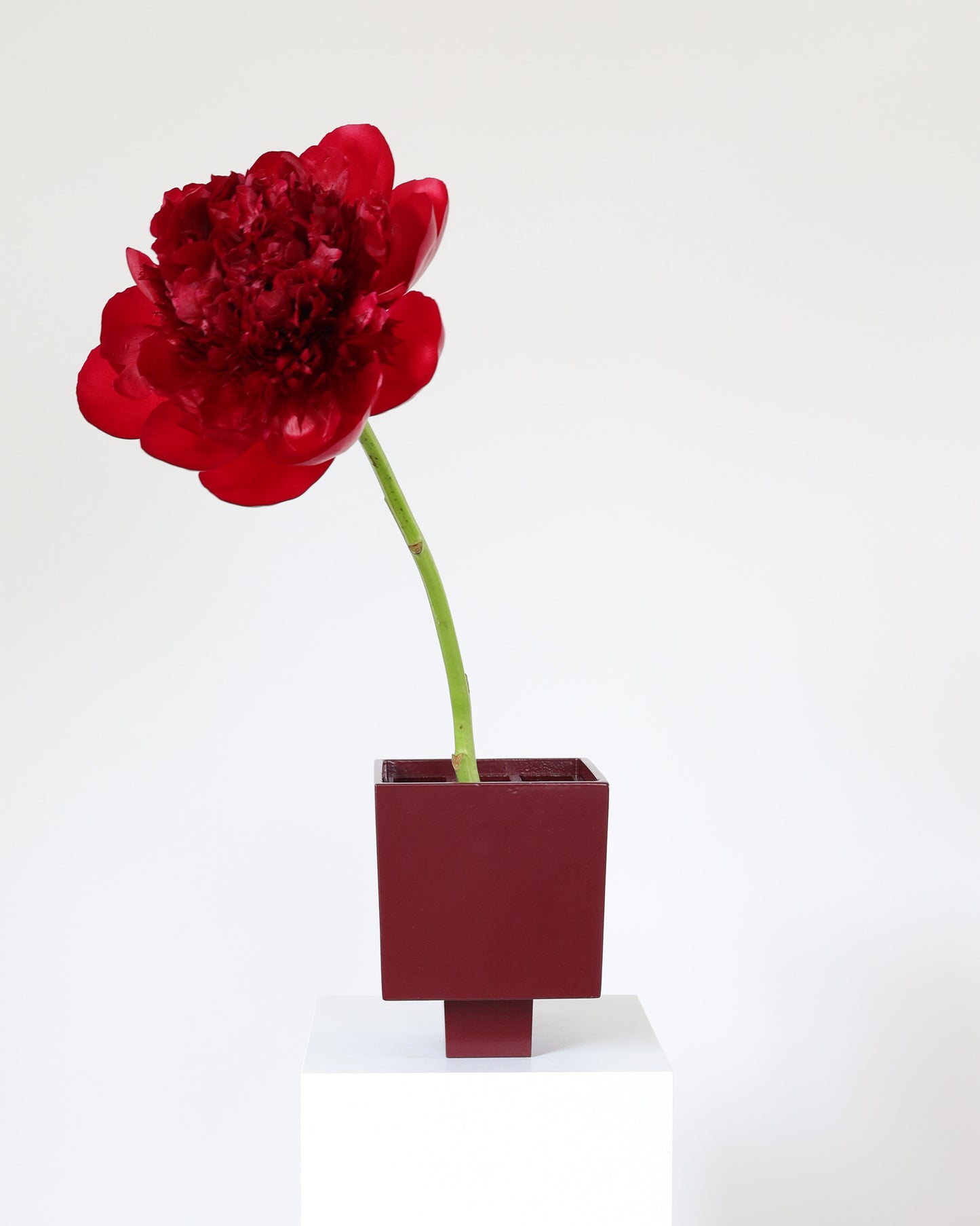 IXIA Vase - Small Burgundy