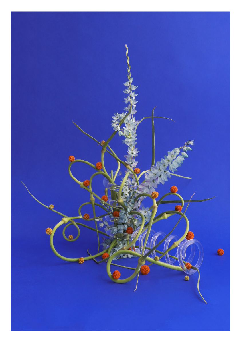 Squiggle Print