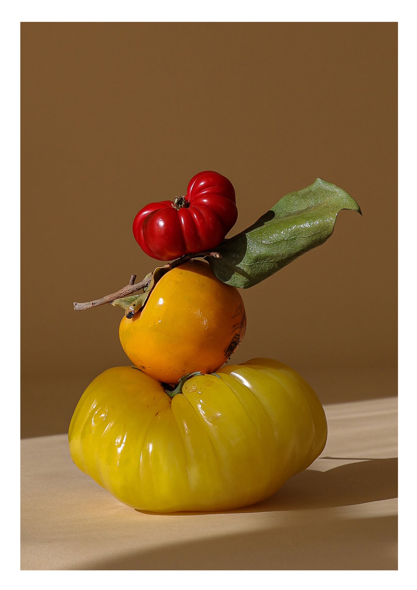 Tomato Print