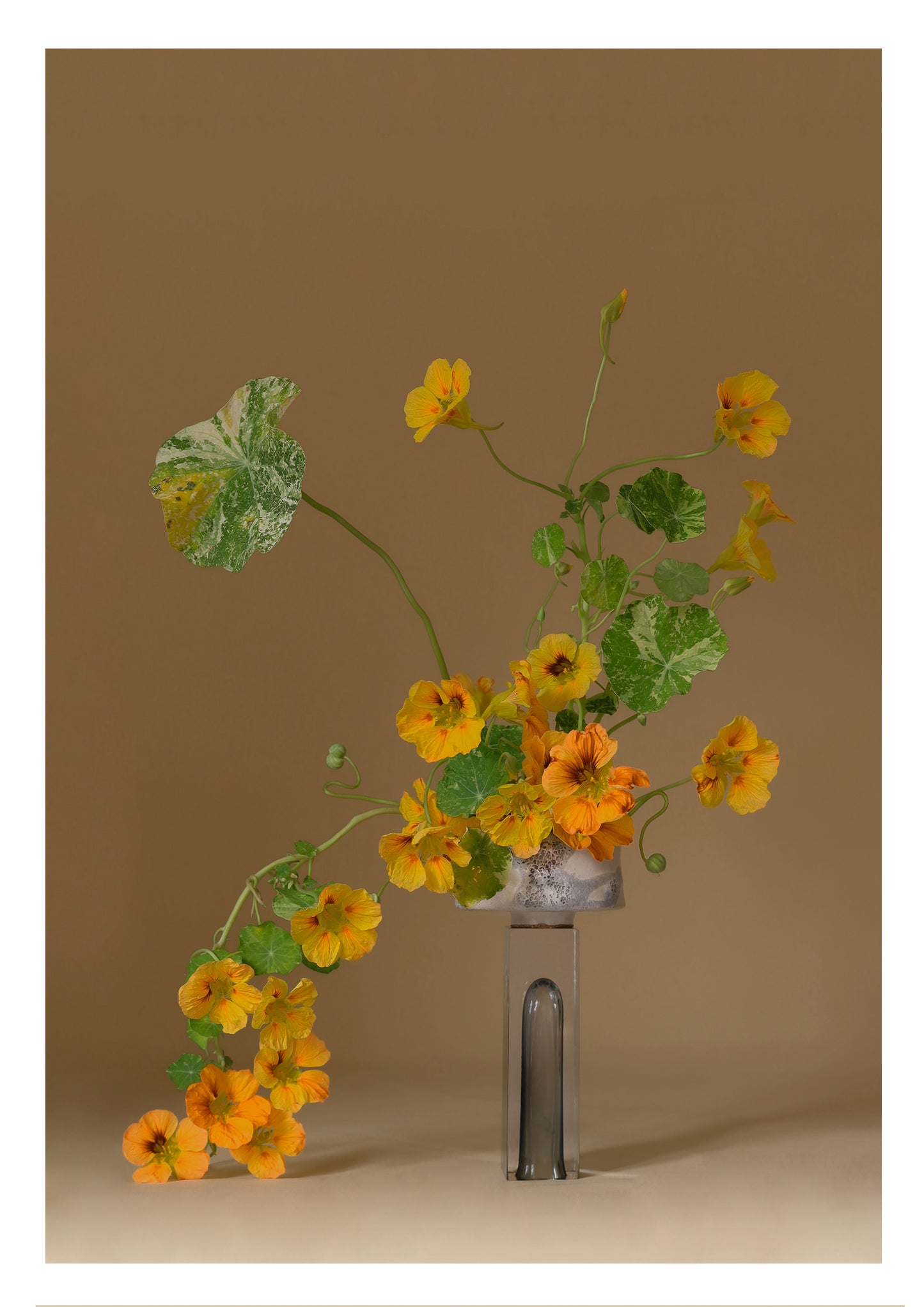 Nasturtium Print