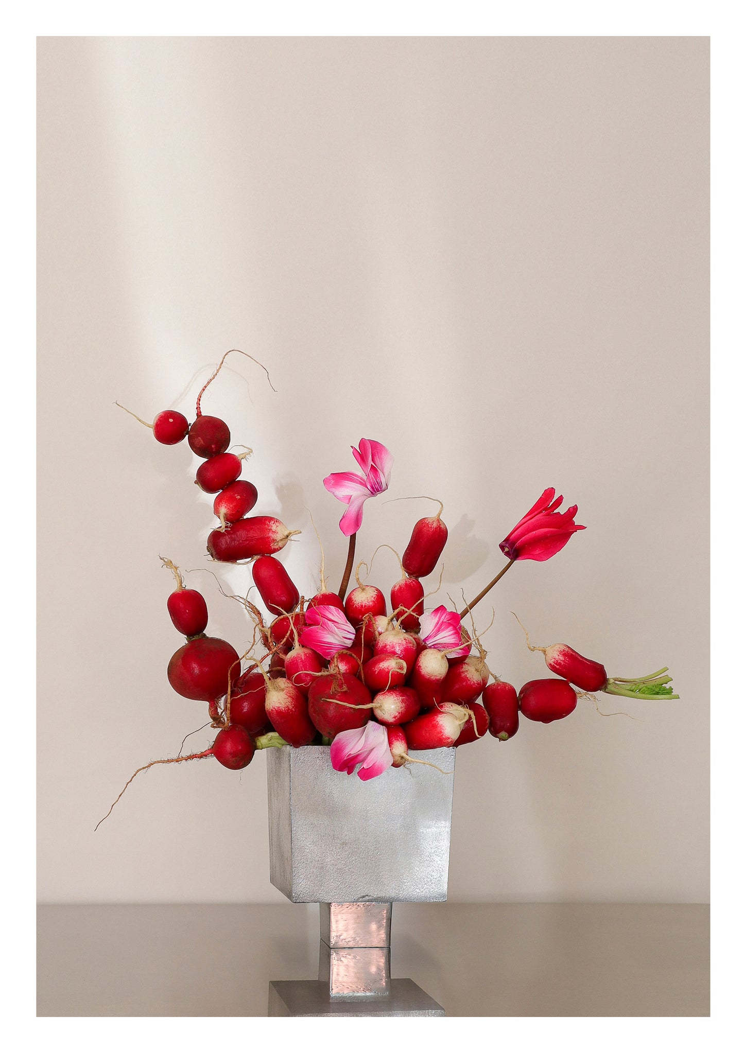 Radish Print