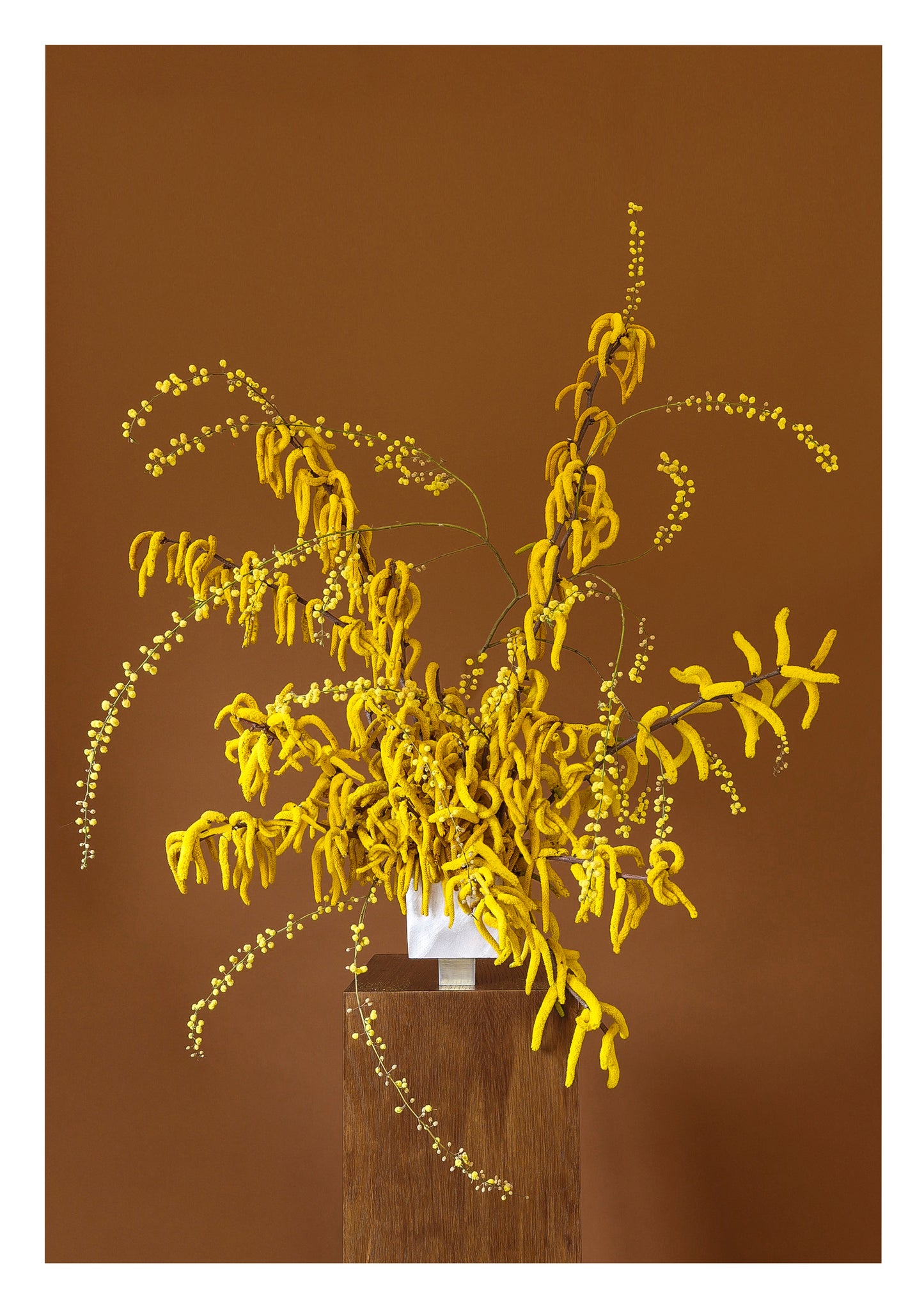 Wattle Print
