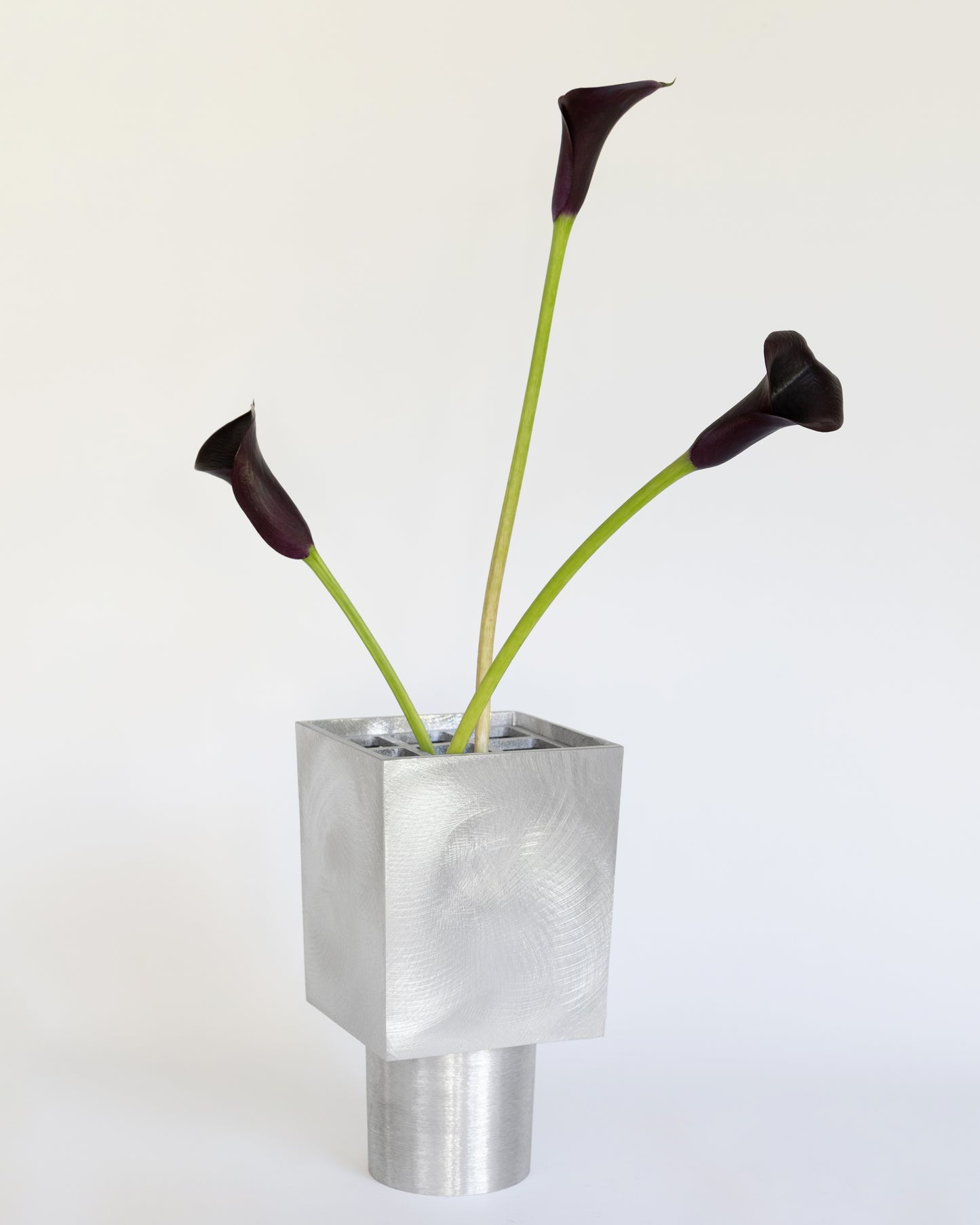Salvia Vase