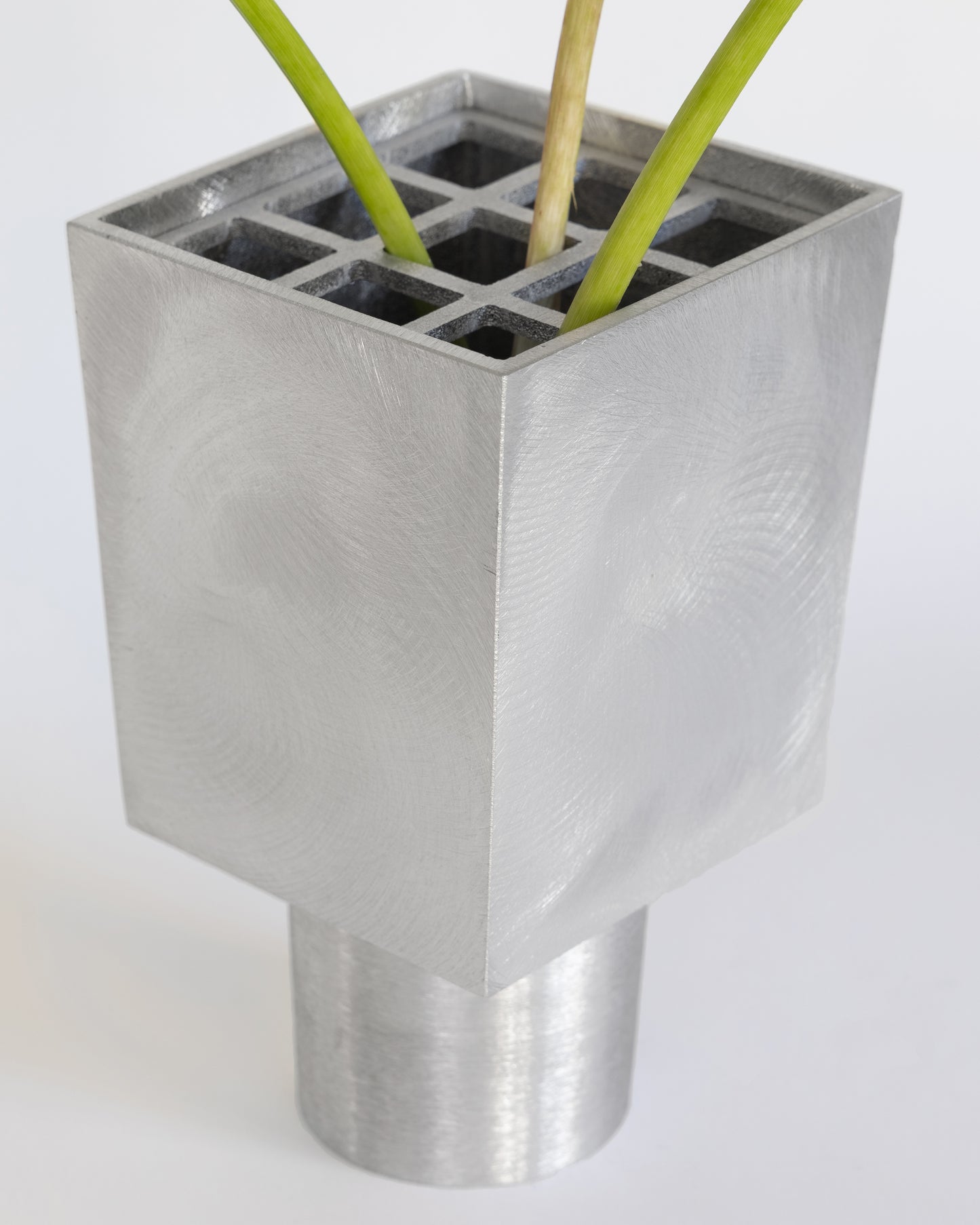Salvia Vase