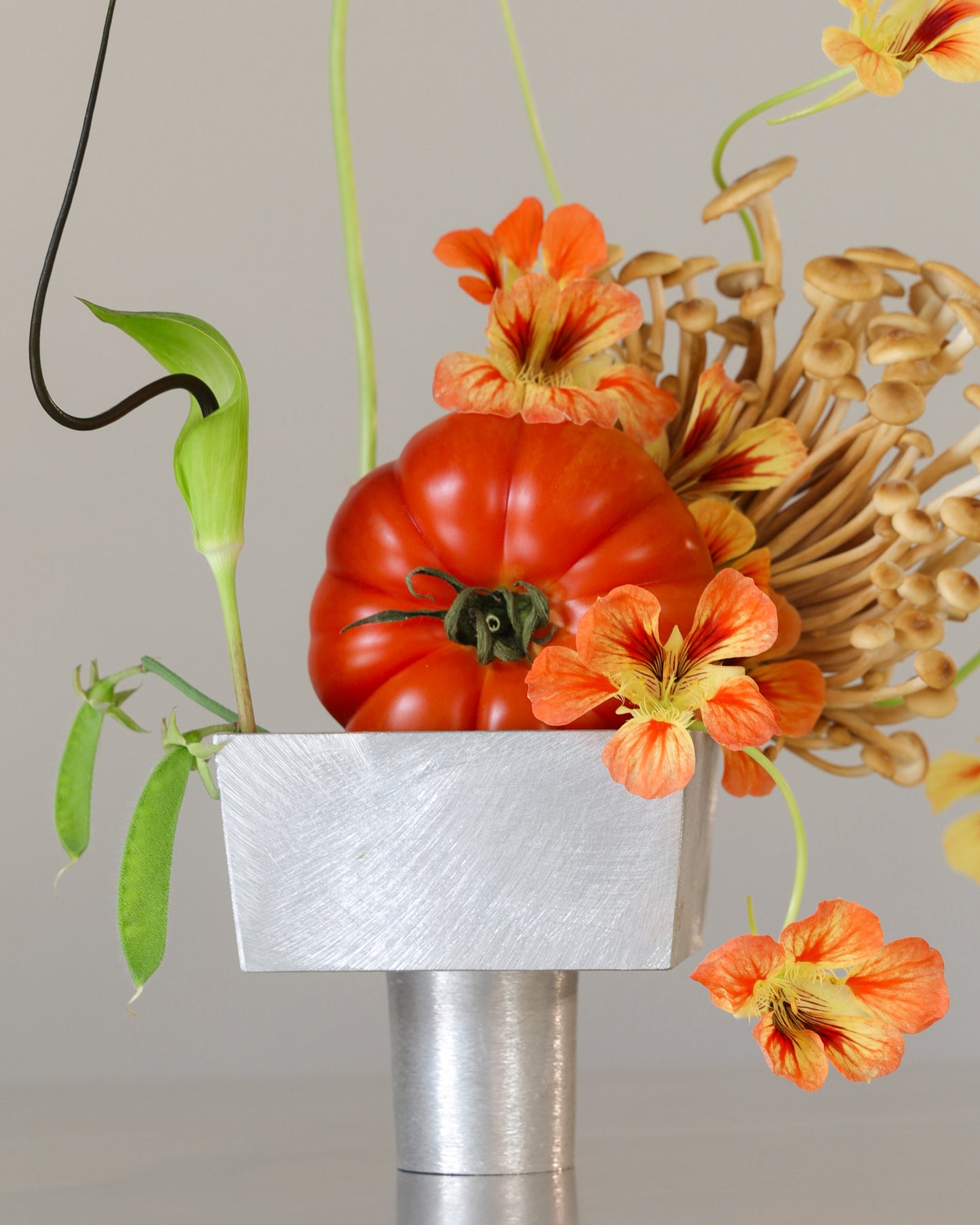 Viola Vessel
