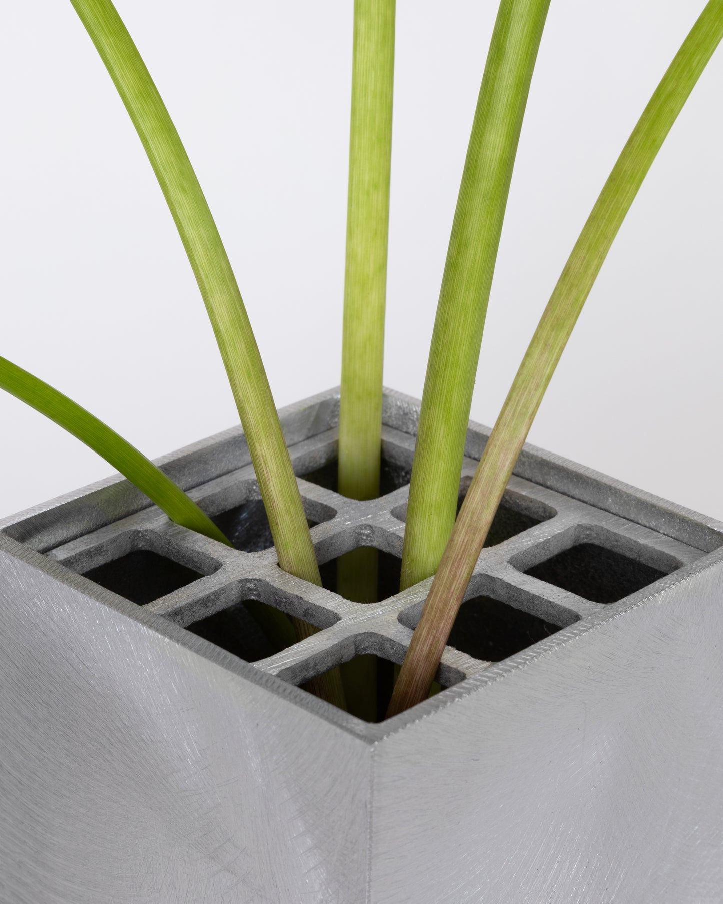 Small IXIA Vase - pre order