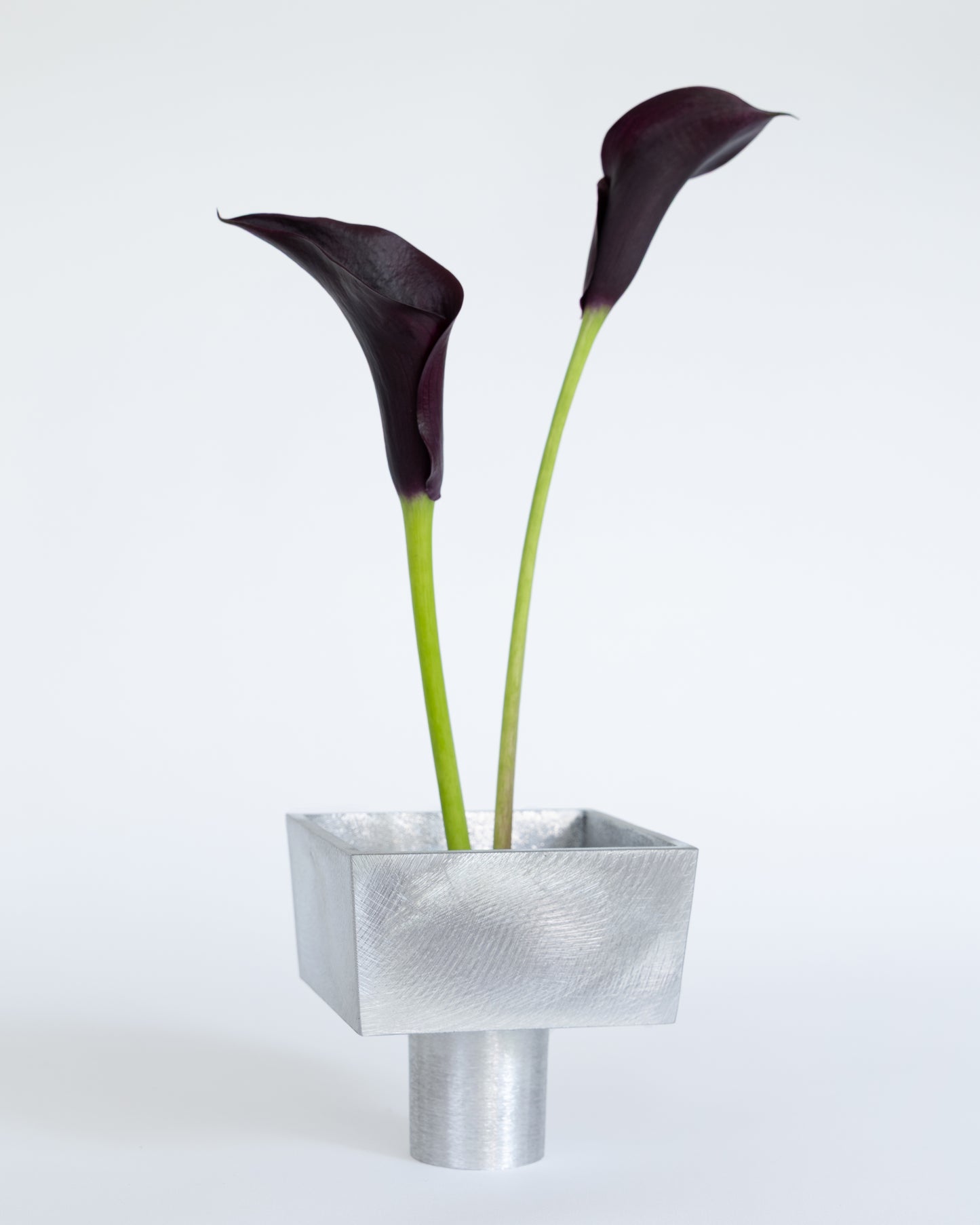 Viola Vessel
